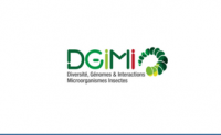 logo DGIMI